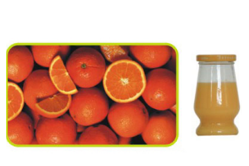 北海市果香园果汁有限公司