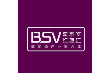 上海欢雁国际贸易有限公司