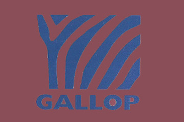 上海驰马国际贸易有限公司