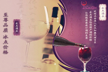 上海采杰实业发展有限公司