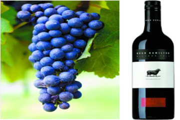 上海百年名庄实业有限公司