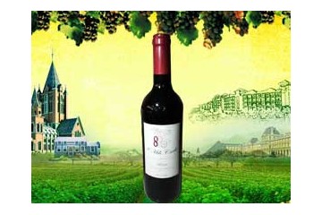 上海泗玖国际贸易有限公司