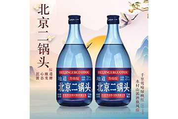 北京百年徐壶记酒业有限公司