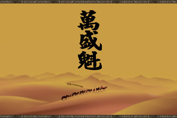 北京万盛魁国际贸易有限公司