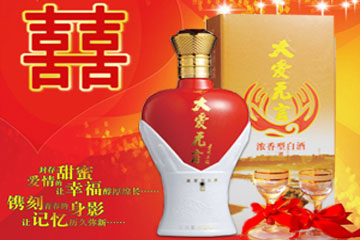 北京武沃良格国际贸易有限公司