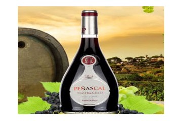 北京润泽天佑科技有限公司