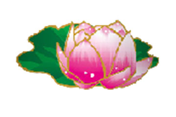 山东荷花啤酒有限公司