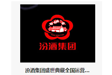  汾酒集团盛世典藏全国运营中心