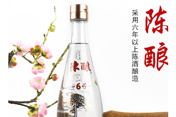 亳州市九龙酒厂