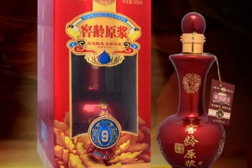 亳州市进贡坊酒业有限责任公司