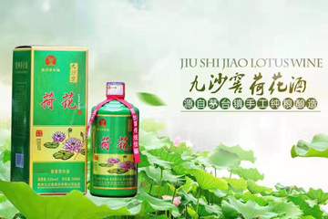 贵州九沙窖酒业有限公司