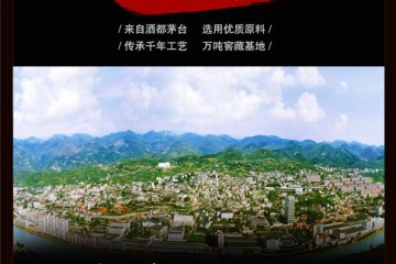 贵州字神酒业股份有限公司