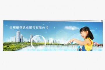 贵州酿尊酒业销售有限公司