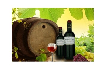  廊坊市万森葡萄酒有限公司