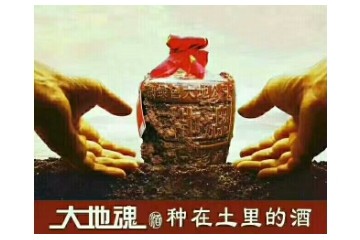 成都大地魂酒业有限公司