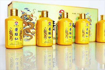 贵州酱仙酒业有限公司