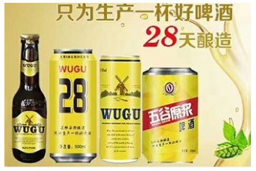 山东爽冰啤酒有限公司