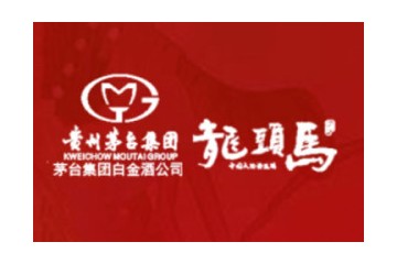 贵州龙头马酒业有限公司