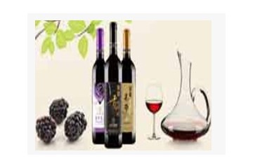  陕西镇海生物科技有限公司