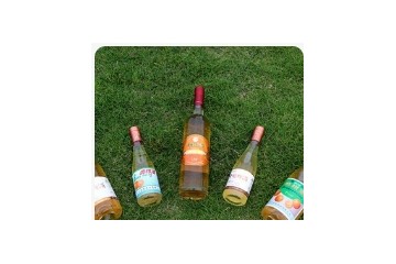 重庆初逸酒业有限公司