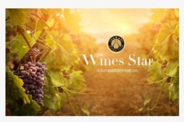 山东召南国际贸易有限公司