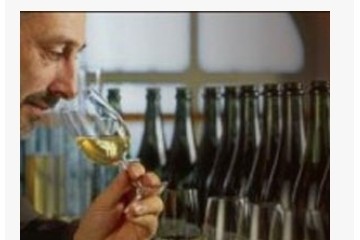 烟台海岸国际葡萄酒城