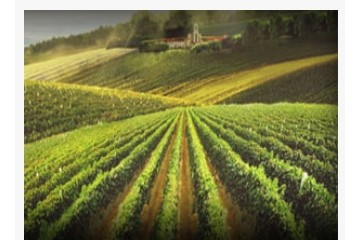 烟台宏泰酒业有限公司