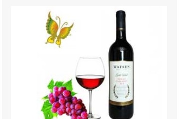 青岛圣亚国际贸易有限责任公司