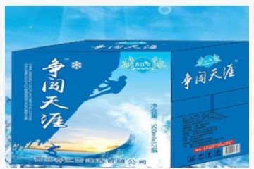 青岛春江雪啤酒有限责任公司