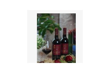 浙江隆科酒业有限公司