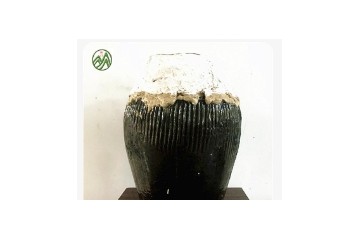 遂昌县王村口独门酒厂