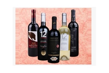 浙江维诺酒业有限公司