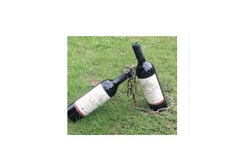 东阳市金拉酒业有限公司