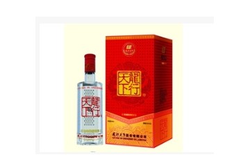 龙行天下股份有限公司