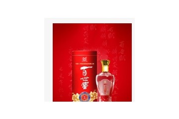 湖南百世酒业有限公司