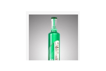 湖南摩闪酒业有限公司