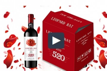 深圳歌雅伦进出口贸易有限公司