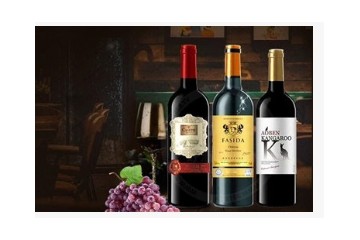 深圳市法斯达进出口贸易有限公司