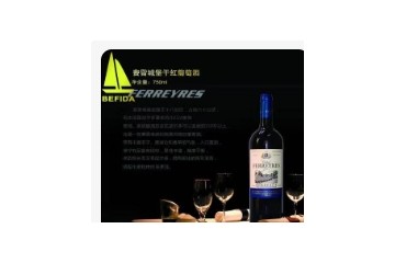 佰菲达（深圳）国际贸易有限公司