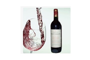 广州金樽酒业有限公司