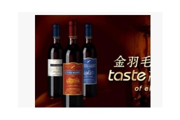 深圳天鸿酒业有限公司