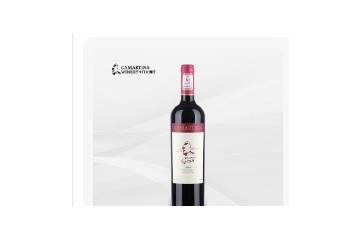 深圳卡门酒业有限公司