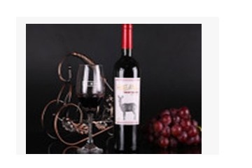 深圳市世进优品贸易有限公司