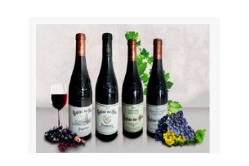 广州市凤凰酒业有限公司