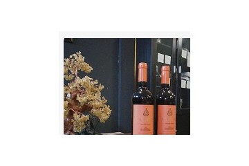 深圳市业奇商贸有限公司