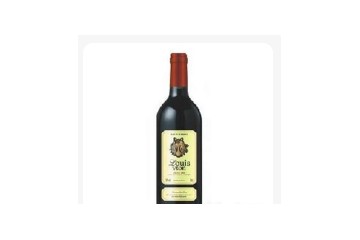 深圳路易威顿进出口贸易有限公司