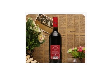 深圳市勤进商贸有限公司