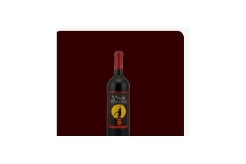 深圳市巨升实业有限公司