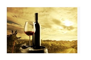 广州车库葡萄酒业有限公司