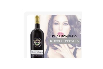 深圳市迪诺佳酒业有限公司